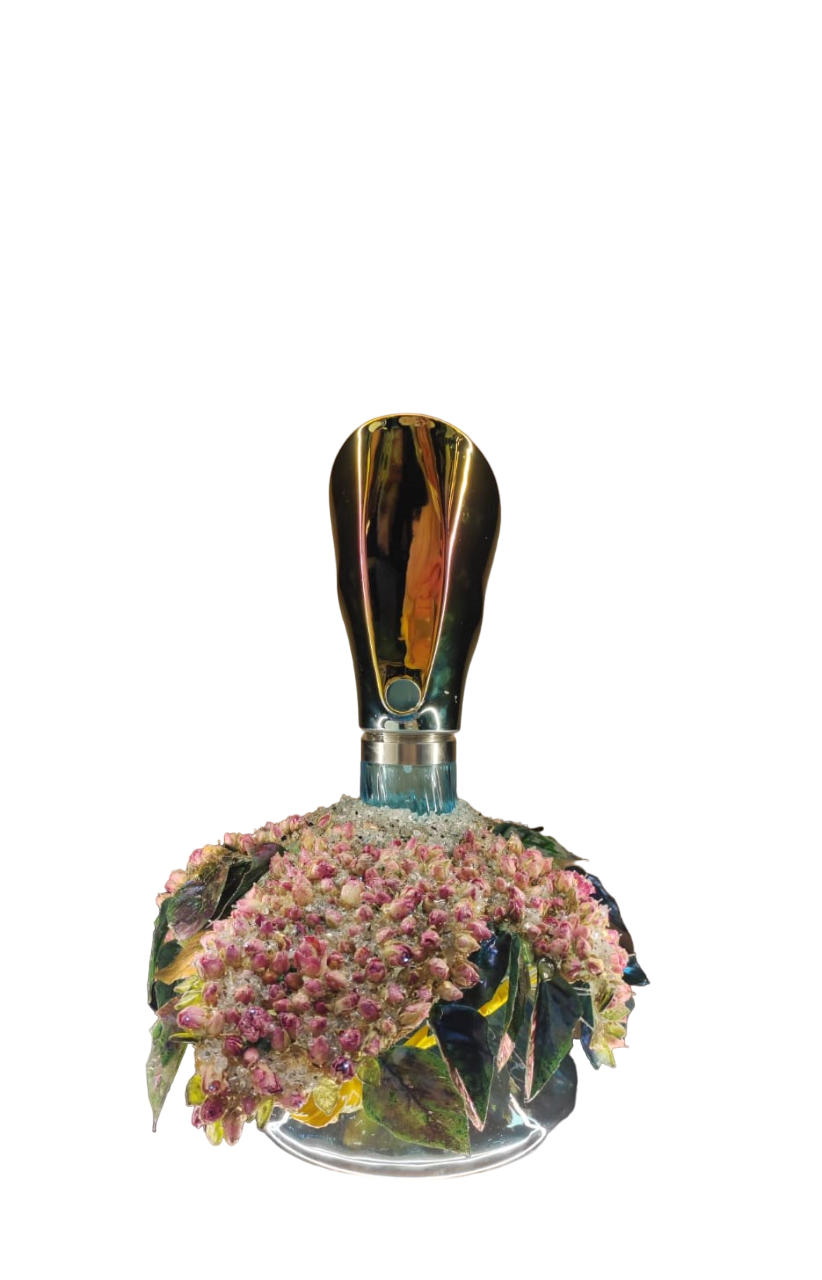 CODE: SCL010